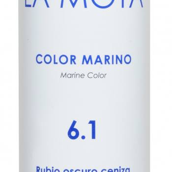 Color Marino 6.1 Rubio oscuro ceniza 150ml